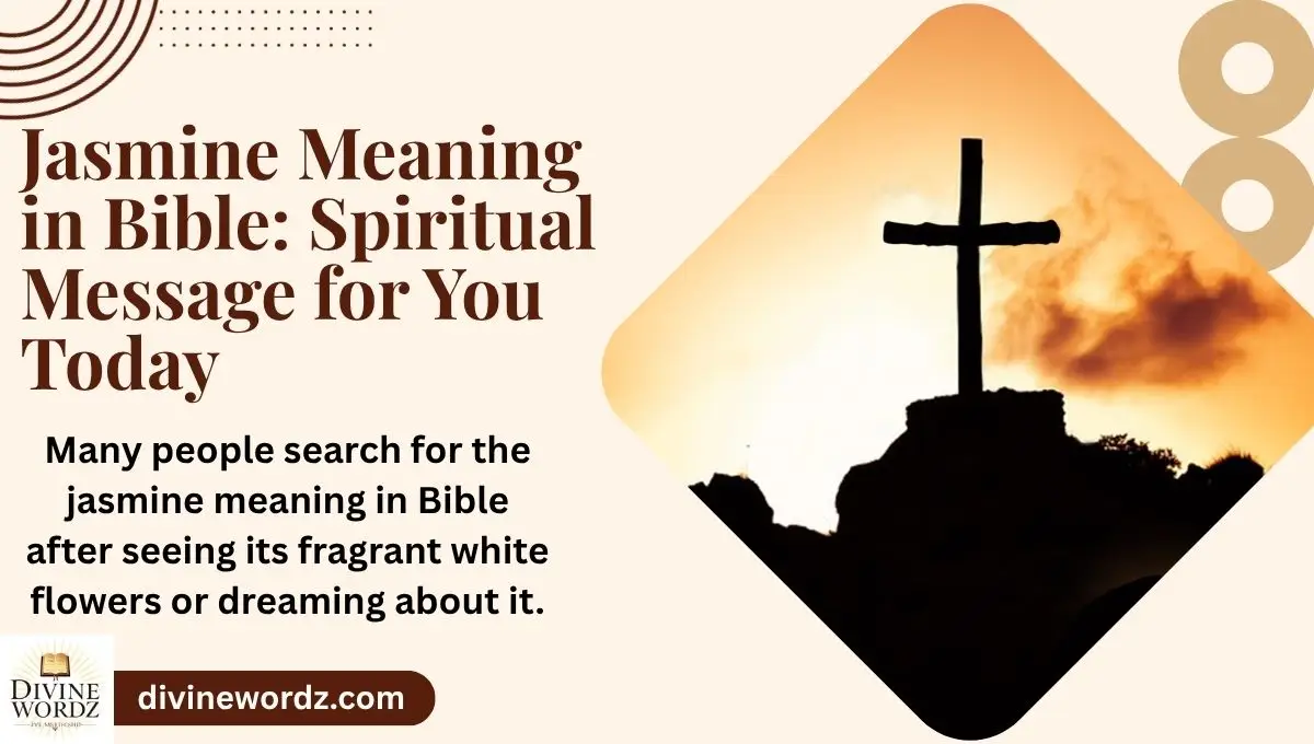 Jasmine Meaning in Bible: Spiritual Message for You Today
