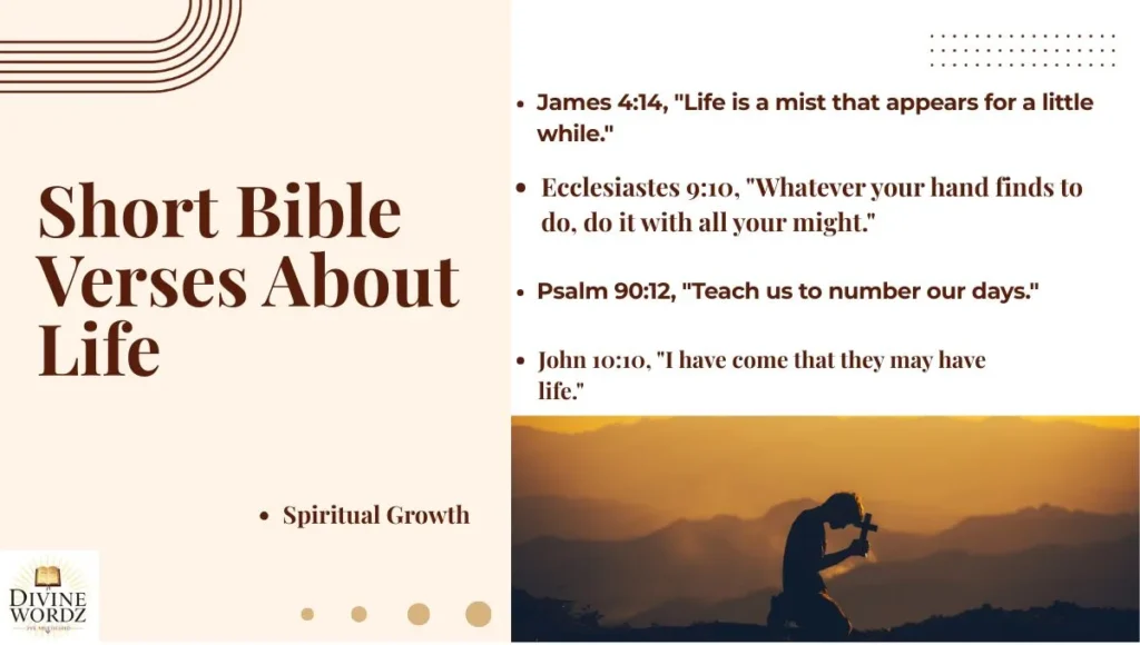 Short Bible Verses About Life