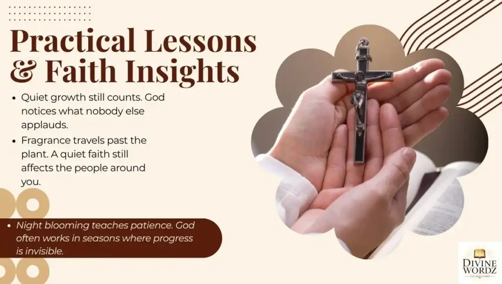 Practical Lessons & Faith Insights