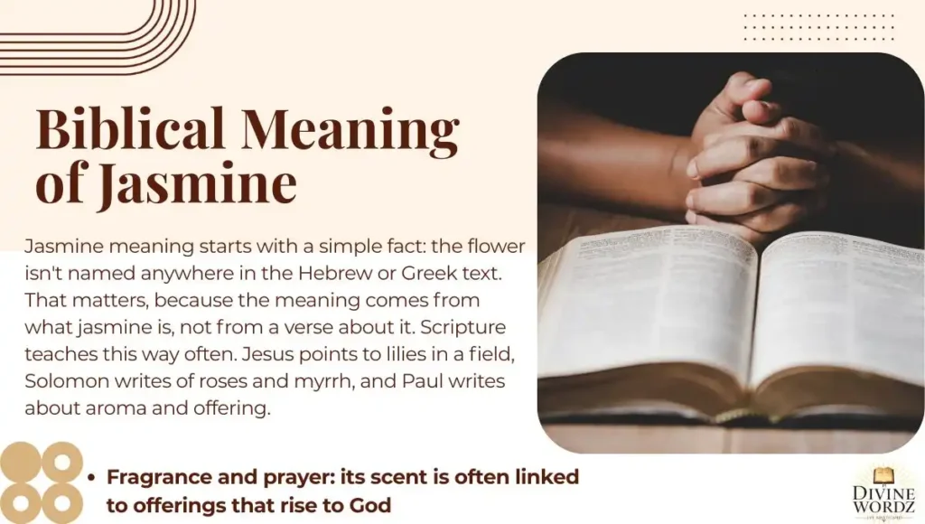 Biblical Meaning of Jasmine