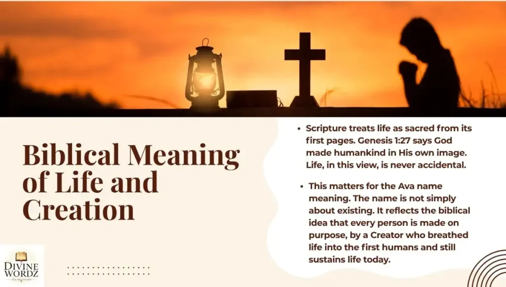 Biblical Meaning of Life and Creation
