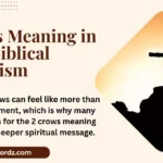 2 Crows Meaning in Bible: Biblical Symbolism, Spiritual Messages, and Faith Insights