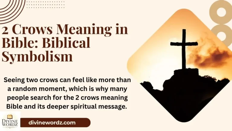 2 Crows Meaning in Bible: Biblical Symbolism, Spiritual Messages, and Faith Insights