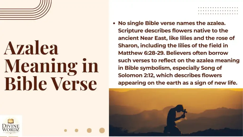 Azalea Meaning in Bible Verse