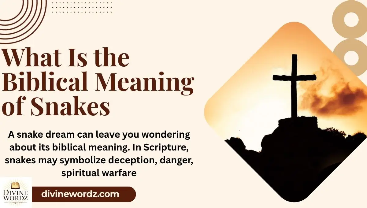 What Is the Biblical Meaning of Snakes in a Dream?