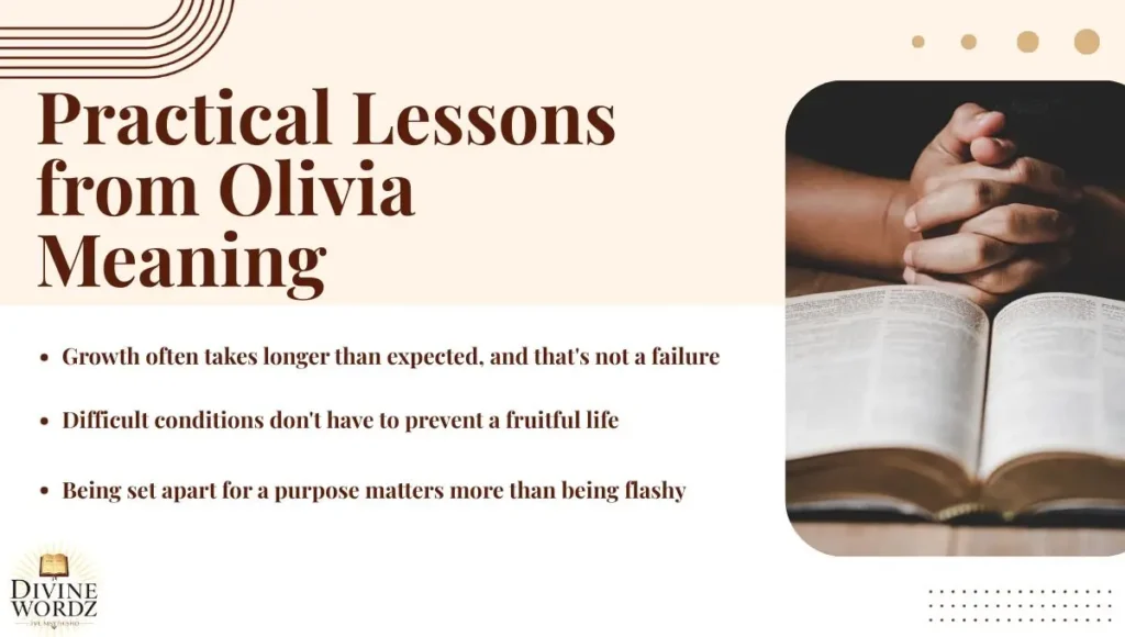 Practical Lessons from Olivia Meaning