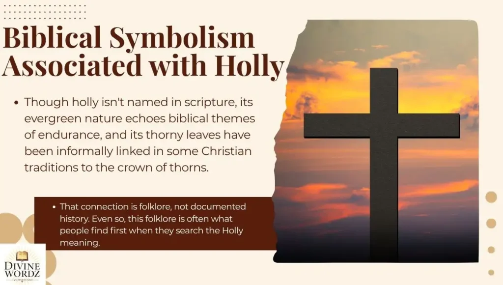Biblical Symbolism Associated with Holly
