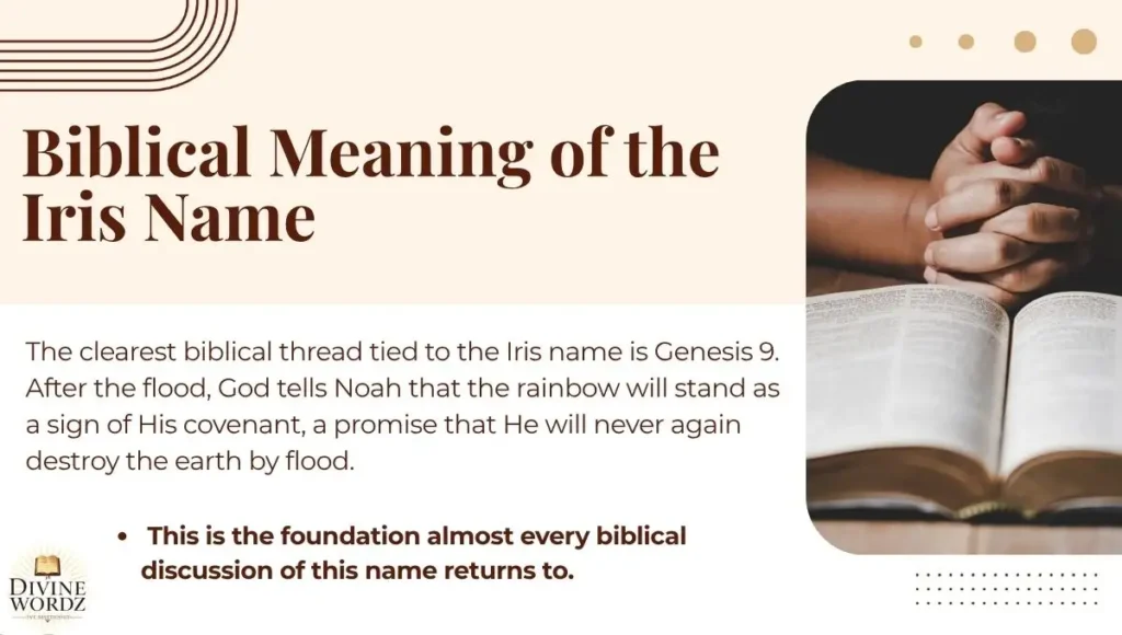 Biblical Meaning of the Iris Name