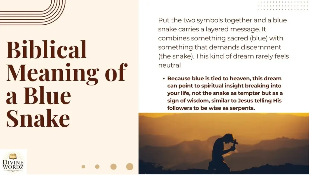 Biblical Meaning of a Blue Snake in a Dream