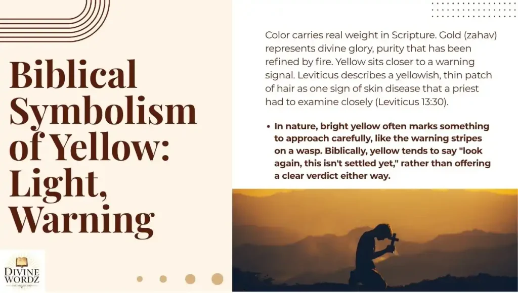 Biblical Symbolism of Yellow: Light, Warning, and Discernment