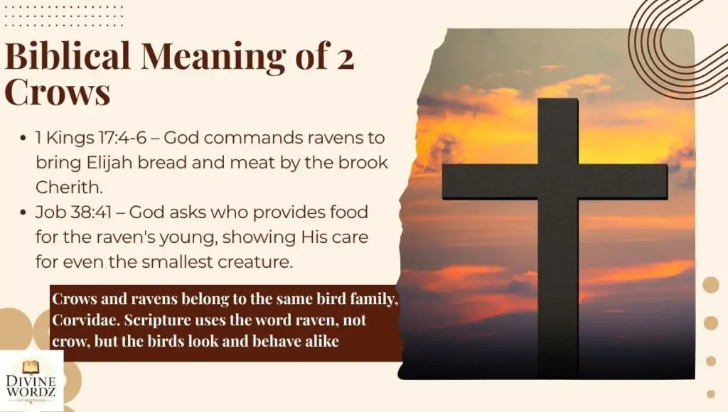 Biblical Meaning of 2 Crows