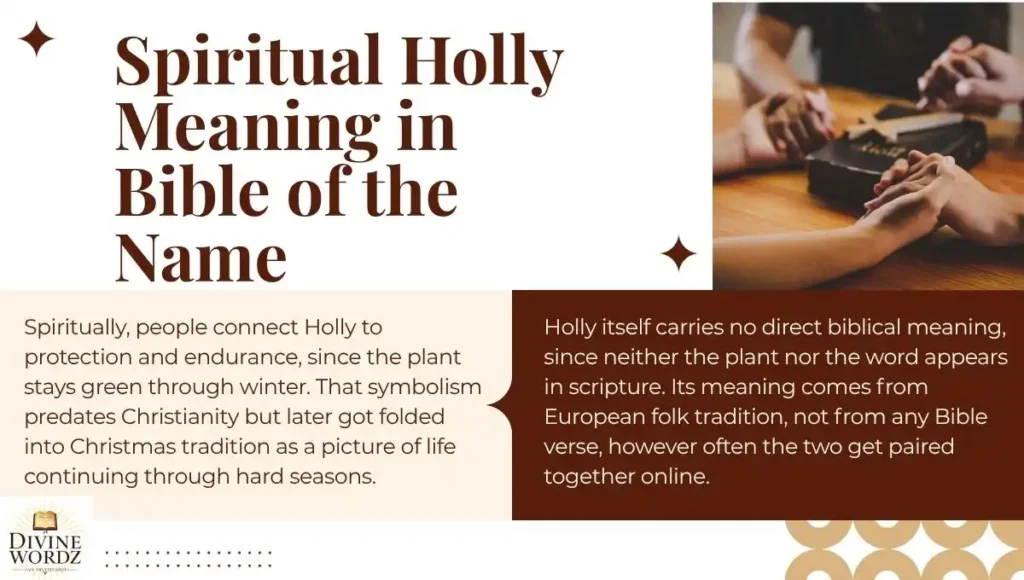 Spiritual Holly Meaning in Bible of the Name