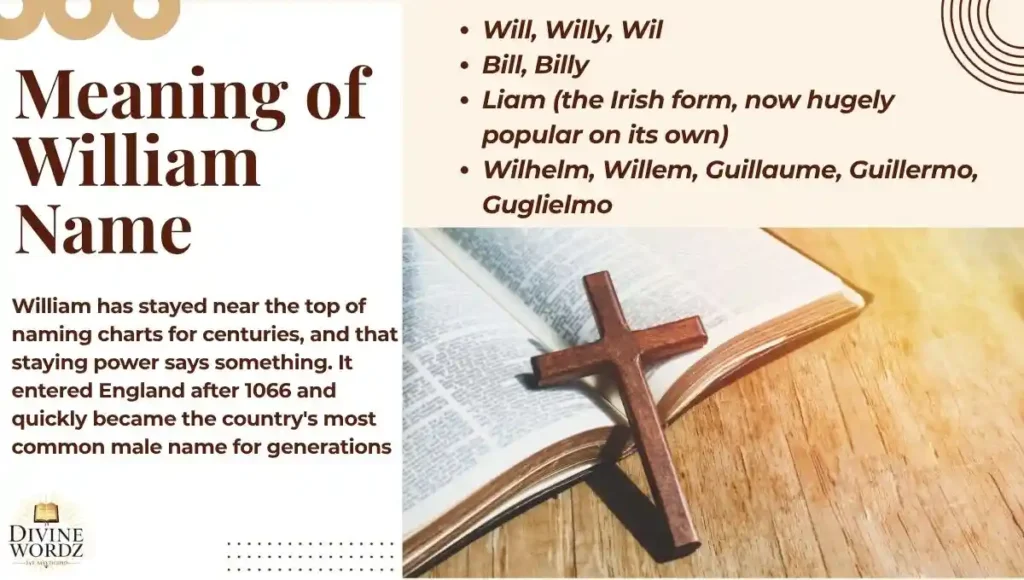 Meaning of William Name