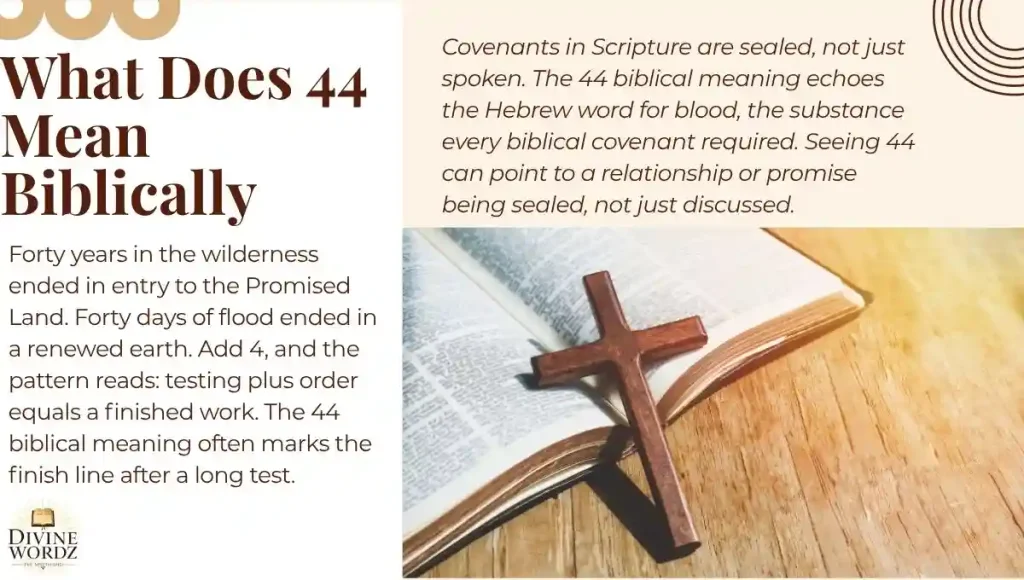 What Does 44 Mean Biblically? The 4 Core Spiritual Themes