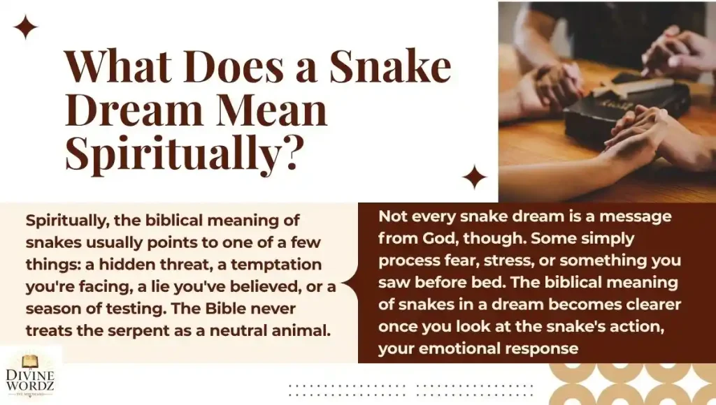 What Does a Snake Dream Mean Spiritually?