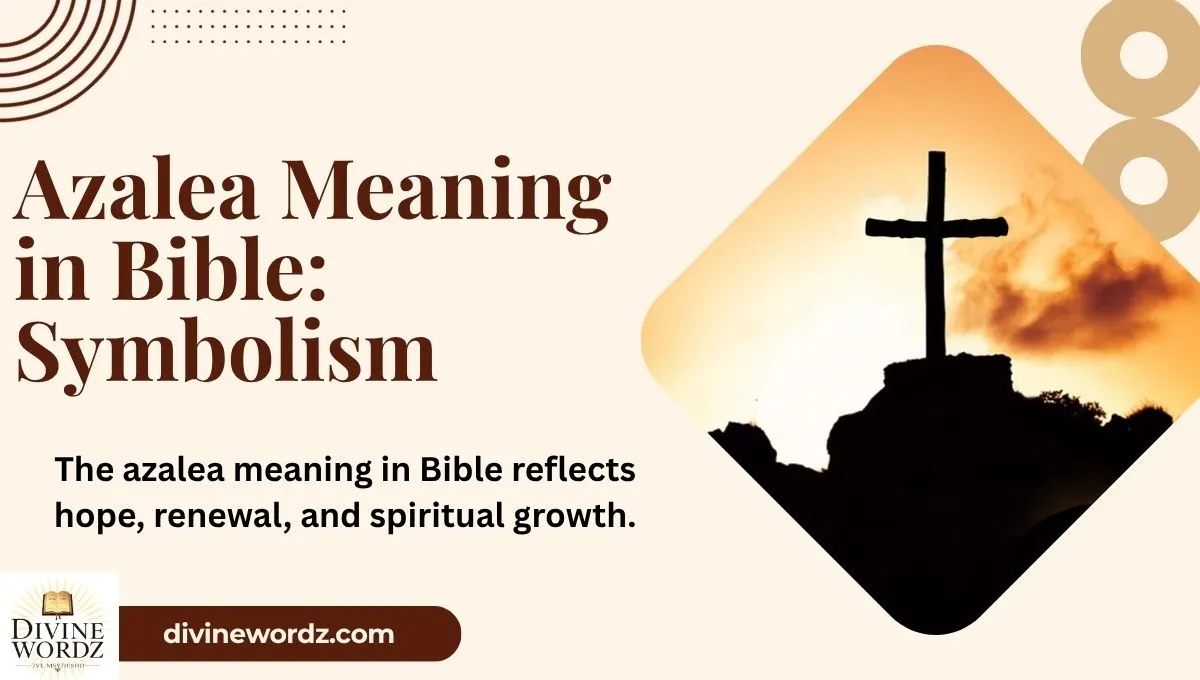 Azalea Meaning in Bible: Symbolism, Spiritual Significance, and Cultural Insights 2026