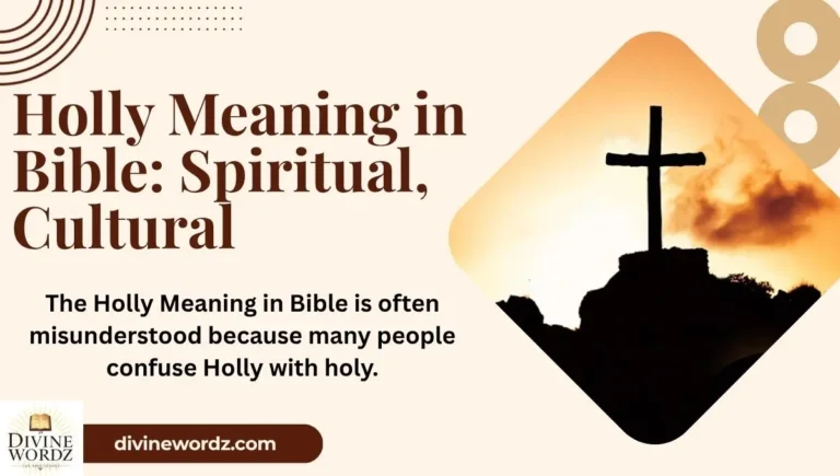 Holly Meaning in Bible: Spiritual, Cultural, and Symbolic Insights 2026