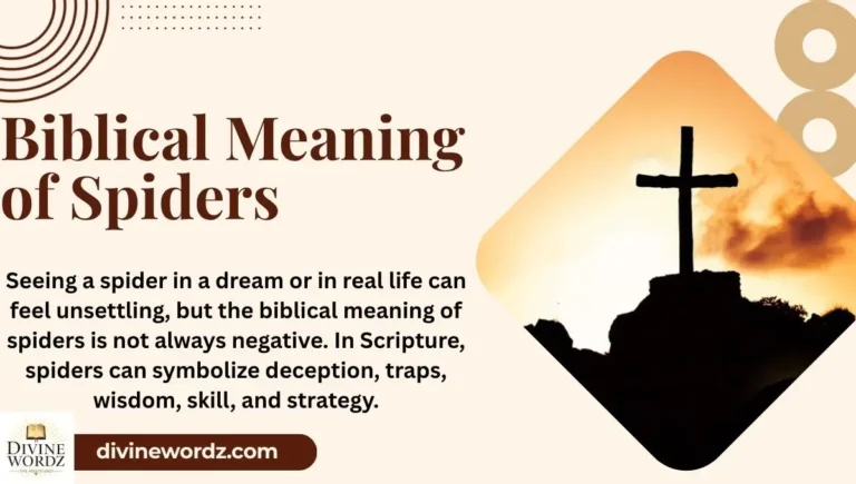 Biblical Meaning of Spiders (Spiritual Warning or Symbol?)