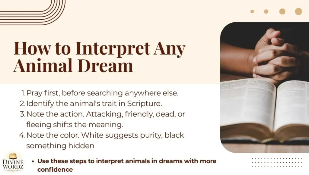 How to Interpret Any Animal Dream Biblically