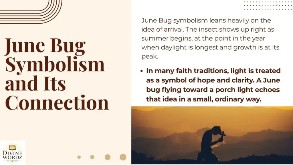 June Bug Symbolism and Its Connection to Faith and Renewal