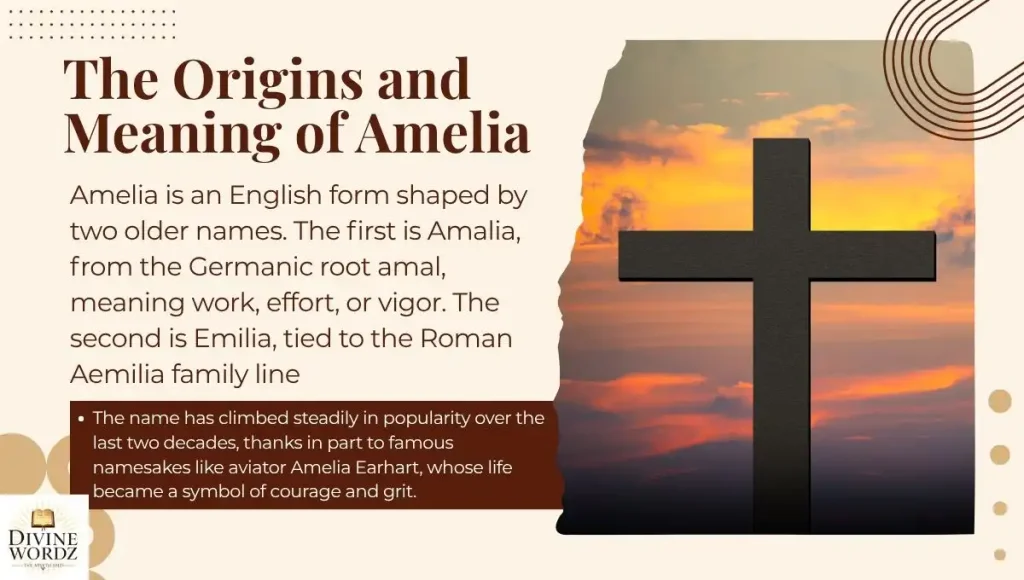 The Origins and Meaning of Amelia