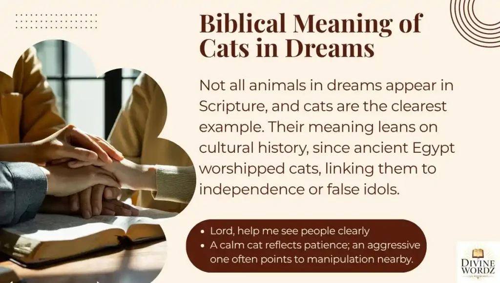 Biblical Meaning of Cats in Dreams