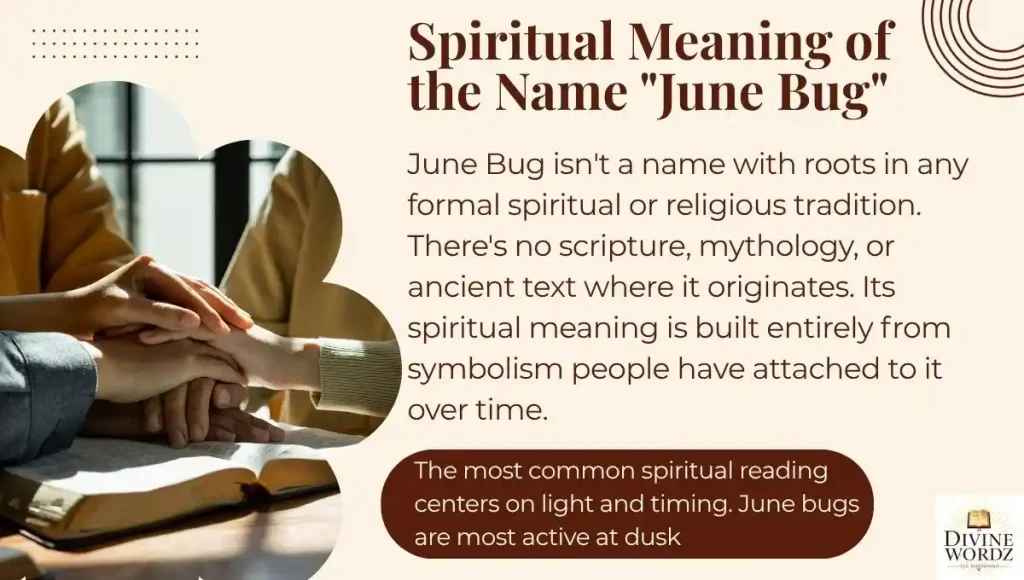 Spiritual Meaning of the Name "June Bug"