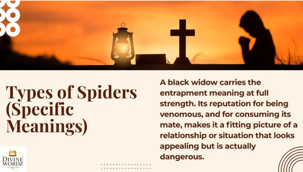 Types of Spiders (Specific Meanings)