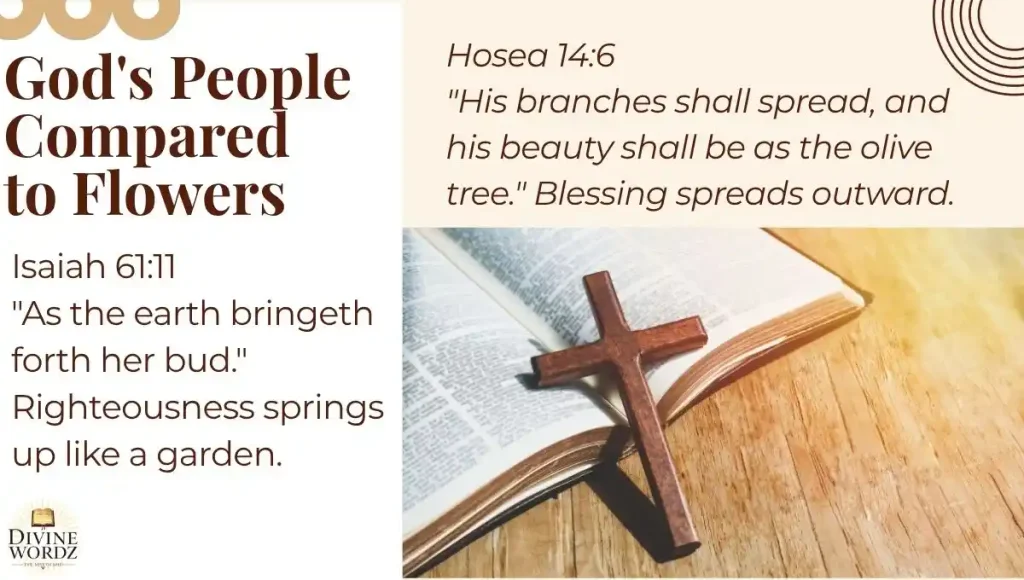 God's People Compared to Flowers